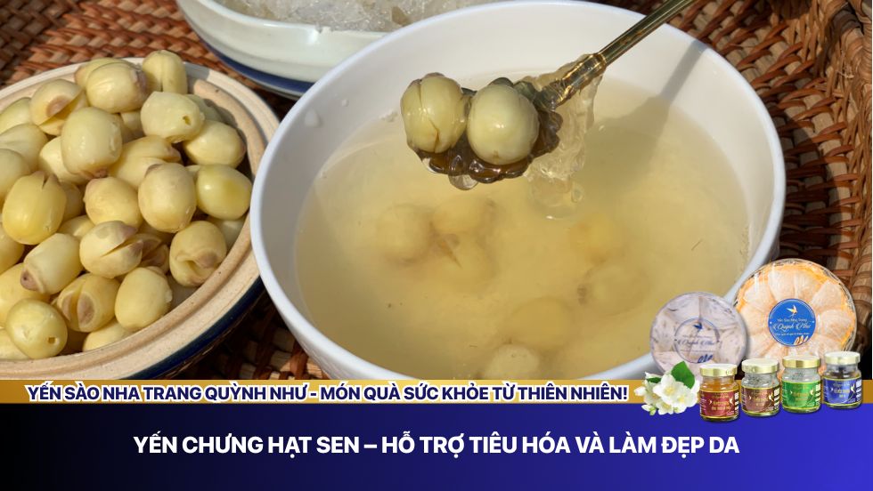 Yến chưng hạt sen